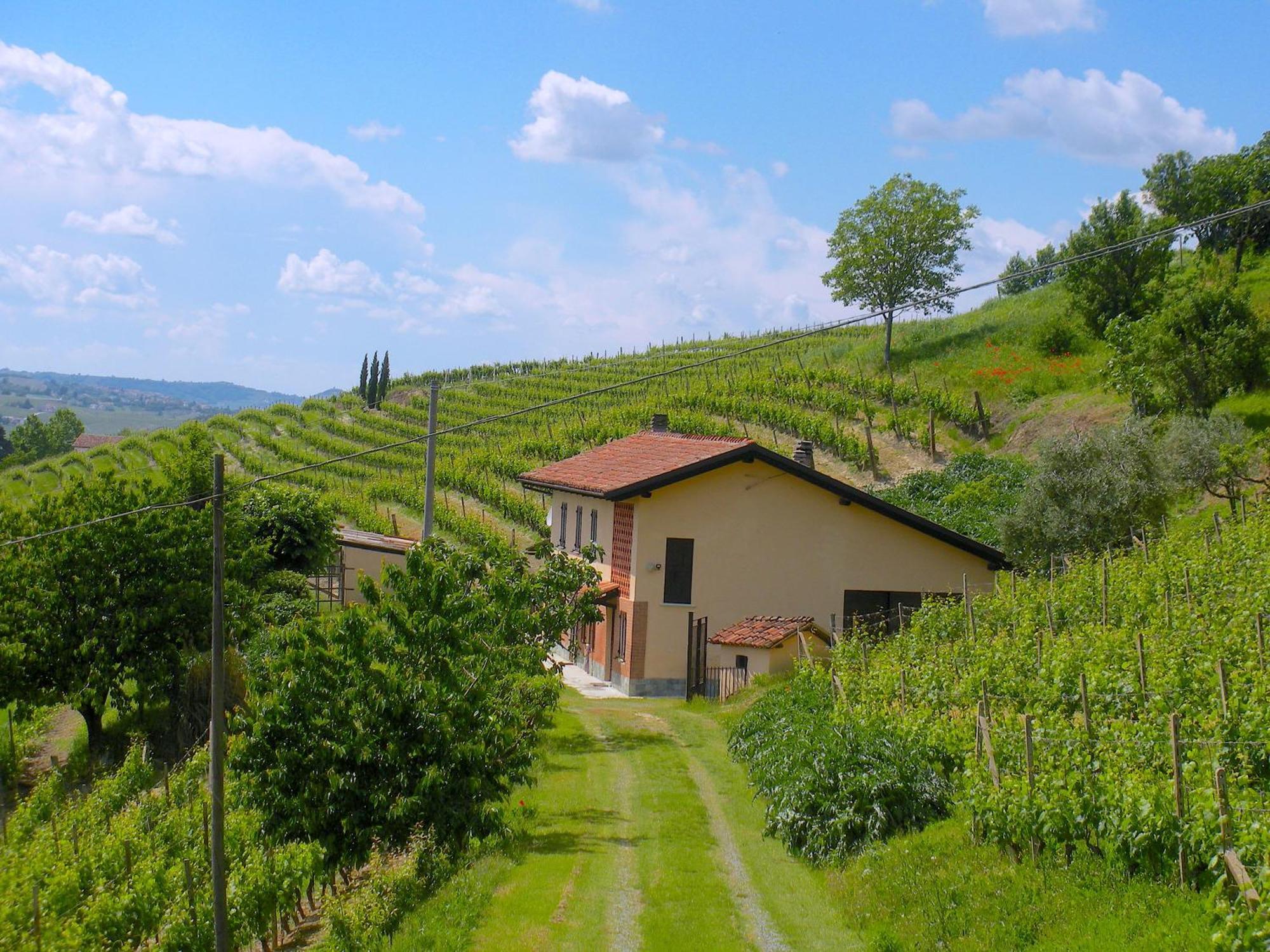 Вилла Cascina Tra I Vigneti A Ницца-Монферрато Экстерьер фото