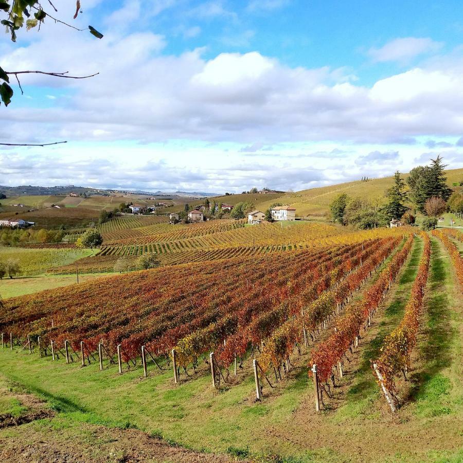 Вилла Cascina Tra I Vigneti A Ницца-Монферрато Экстерьер фото