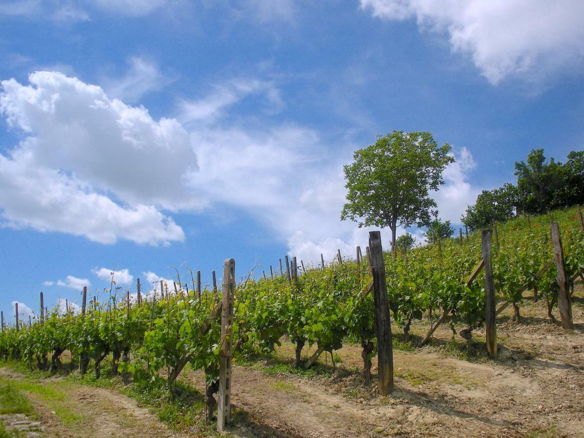 Вилла Cascina Tra I Vigneti A Ницца-Монферрато Экстерьер фото