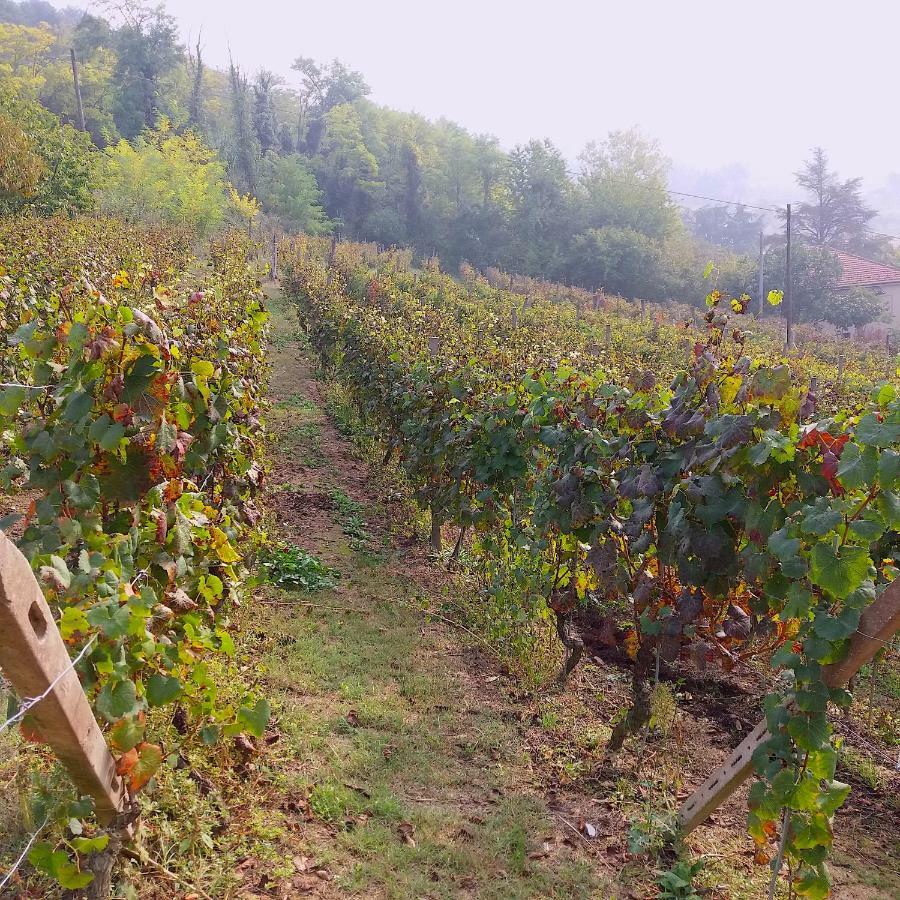 Вилла Cascina Tra I Vigneti A Ницца-Монферрато Экстерьер фото